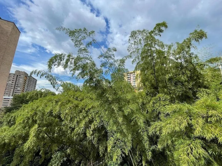 Two-Floor Aparment, Spacious And Quiet Sabaneta Apartment